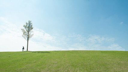 Fototapeta na wymiar single tree and a girl, field and blue sky