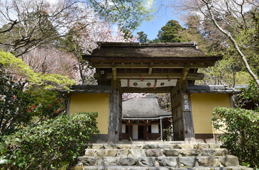 春の寂光院　山門　京都市大原