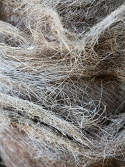 Textured background of fibrous strands from palm bark