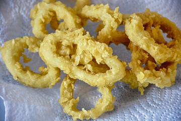 fried calamary