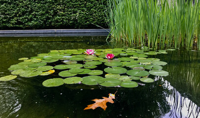 Photos from around the world