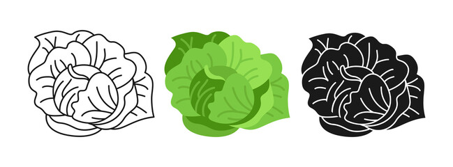Vegetable cabbage cartoon set, line icon, black glyph style. Autumn organic food ingredient for salad. Rural green vegetable collection. Hand drawn garden concepts vector illustration