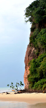 Pipa Beach In Brazil