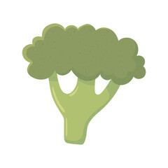 broccoli fresh vegetable