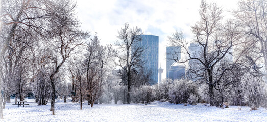 Frosty winter day in Calgary city park