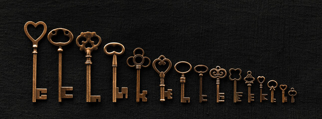 Row of ornate skeleton keys. Concept for finding multiple options for unlocking opportunities,...