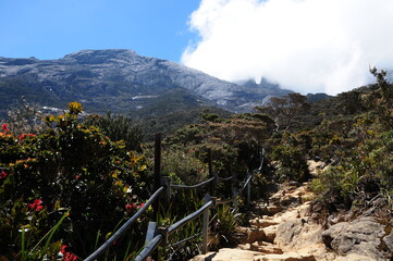 ボルネオ島、キナバル山、登山道