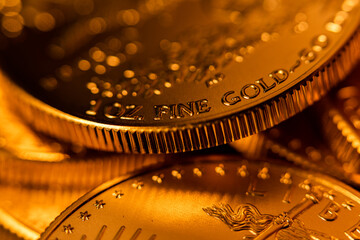 100% Pure Gold Coin Bullion U.S. Eagle Mint © Eric