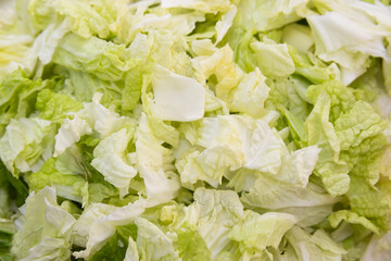 Chinese napa cabbage cut into pieces