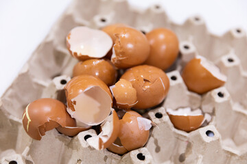 Chicken eggshell fragments
