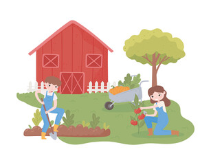 Obraz na płótnie Canvas couple farmers planting