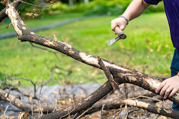 Asian worker axe the logs, dead tree to small pieces for next process.