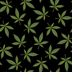 Fototapeta na wymiar seamless pattern of green fresh cannabis sativa leaves (marijuana) on black background. Can be tiled