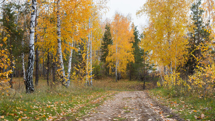 Tsaryov Kurgan, a part of the Volga-Sok mountain system. A limestone quarry was exploited here once, now it's not in use and protected.