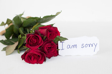 i am sorry message card handwriting with red rose flowers arrangement flat lay postcard style on background white