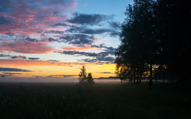 dawn in the field