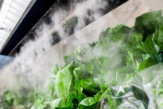 Fresh salad at the supermarked sprayed with mist water from the mini nozzles to keep it more appealing