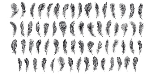 Feathers set on white background. Hand drawn sketch style.	