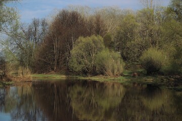 Fototapeta na wymiar spring landscape by the river