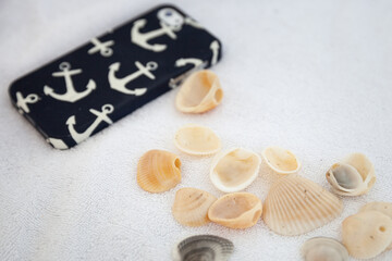 Background from natural seashells with smartphone on white beach towel