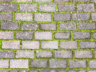 Sidewalk in the form of concrete bricks and grass. Background pavement.