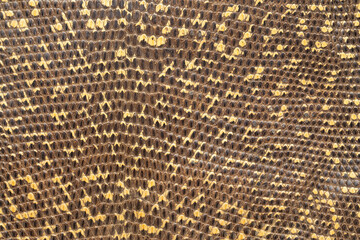 Snakeskin leather and texture background. Skin pattern background.
