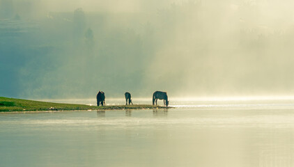 people walking on the beach