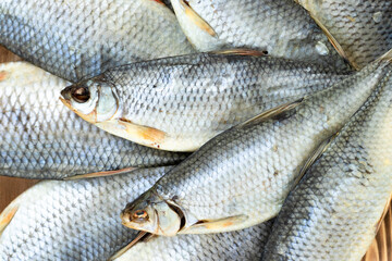 dry roach fish, top view, lots of pieces, fish background.