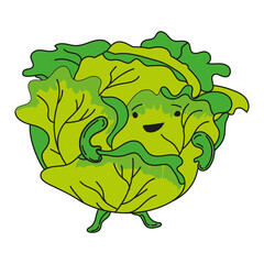 Cabbage hand dawn sketch cute character cartoon. Vector illustration