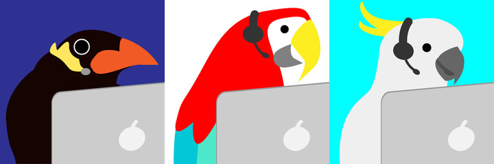 ヘッドセットを付けてコールセンターで働く九官鳥、オウム、キバタン。24h シフト、早朝から深夜まで Working birds as customer-support © maricos