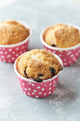 Muffins with Blueberries and Brown Sugar. Close up.	