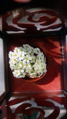 Top view of a bunch of tiny white flowers clustered in a red tealight candle holder, with little sunlight and shades.