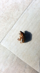 Directly above image of a brown golden fat bug dead on stone floor with its shadow dropped on side. Large copy spaces.