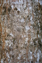 texture