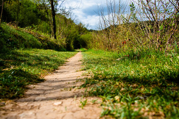 2021_4_4_Montemezzo_path among the greenery