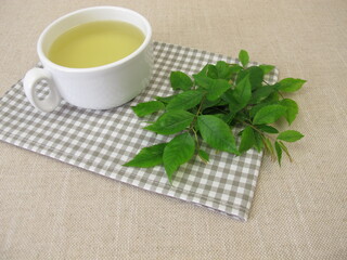 A cup of herbal tea with dog rose leaves