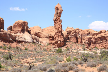 Fototapeta na wymiar Red rocks in Arches National Park, Utah, USA