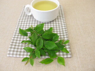 A cup of herbal tea with dog rose leaves