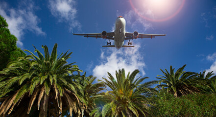 Palm trees on the background of the plane in the sky. Summer traveling concept