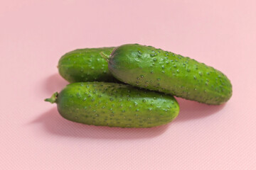 On the pink background of the horizontal photo are ripe cucumbers