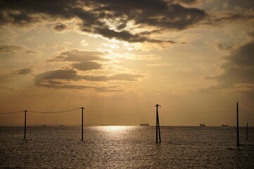 Obraz premium 海に続く電柱、不思議な光景