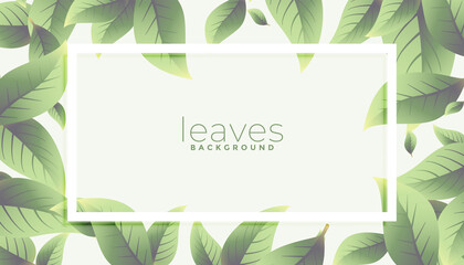eco green leaves frame background design