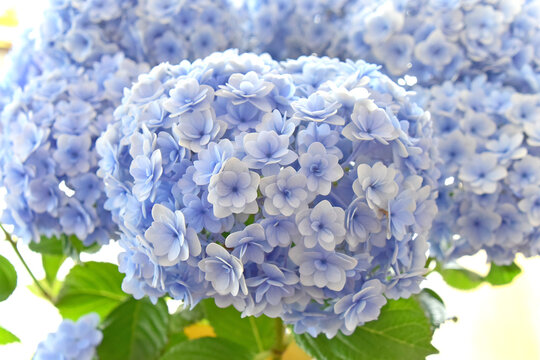 英山下photos Images Assets Adobe Stock