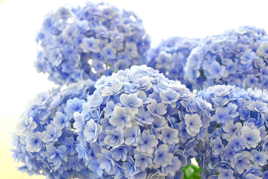 英山下photos Images Assets Adobe Stock