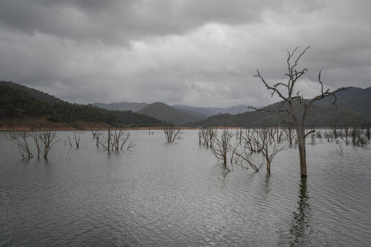 Lake Eildon in Victoria Australia