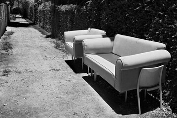 Black and white still life photo of an abandoned couch set and a chair standing on a public pathway next to a hedge, no people are visible