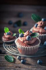 Chocolate brown cupcake with blueberries. Chocolate cupcake with fruit.