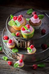Homemade pink raspberry cupcake with cream. Vanilla cupcake with fruit.