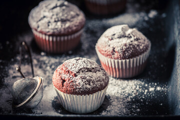 Homemade chocolate muffin with powdered sugar. Chocolate cupcake with nuts.