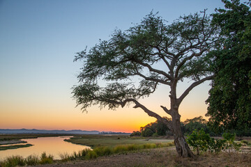 Sunrise over the Zambezi River in Africa